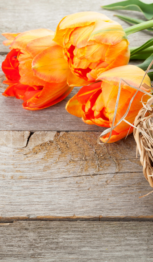 Крашеные яйца с оранжевыми тюльпанами на Пасху 2024