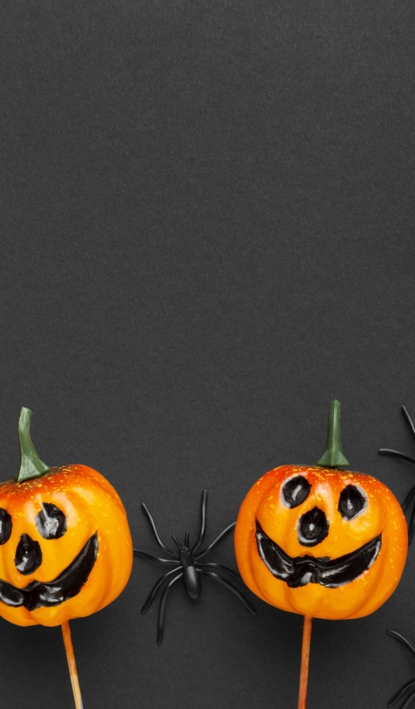 Тыквы с черными пауками на сером фоне на Хэллоуин
