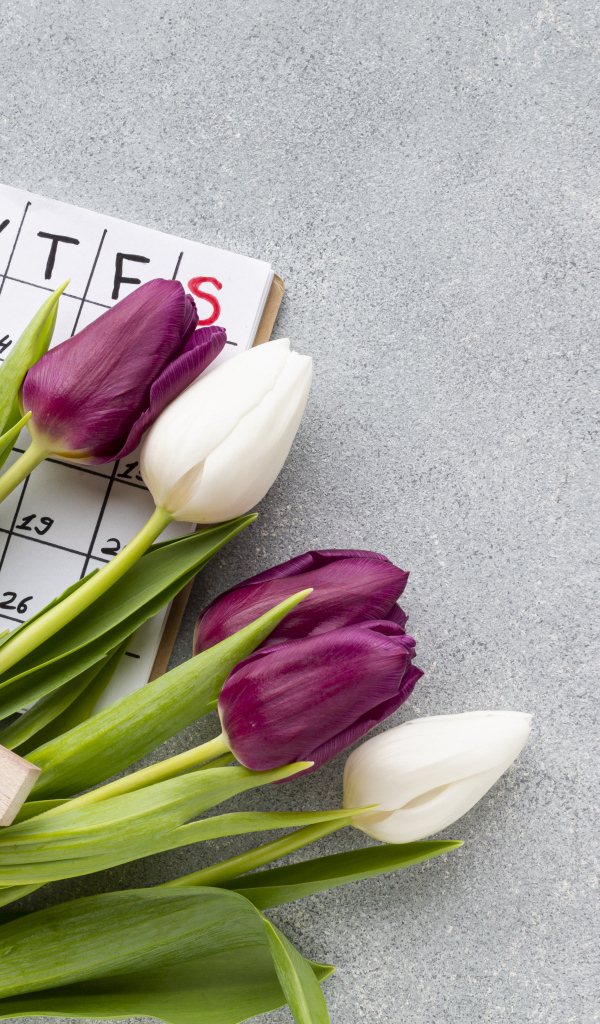 Календарь, красные туфли и букет тюльпанов на 8 марта