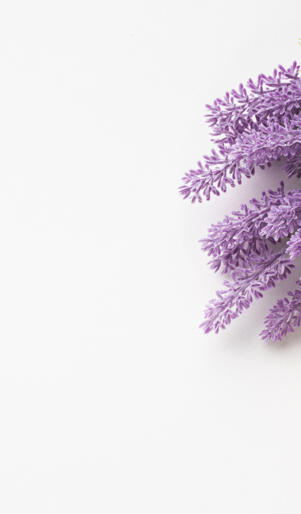 Кубики, кофе и букет цветов на белом фоне на 8 марта