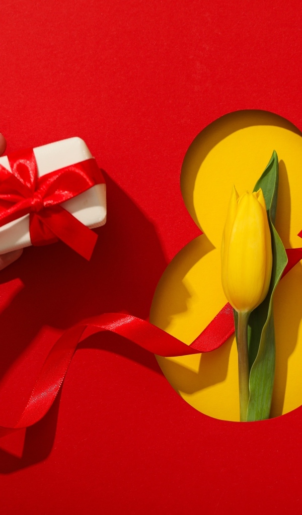 Красный фон с подарком, желтым тюльпаном и цифрой на 8 марта