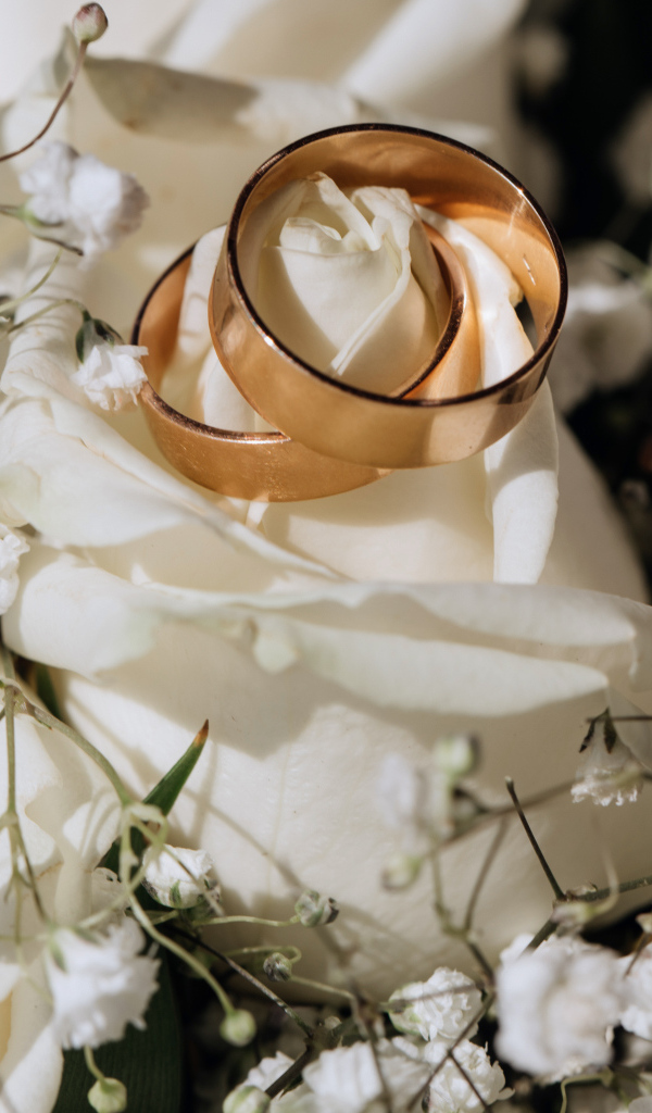 Два золотых обручальных кольца на белых розах 