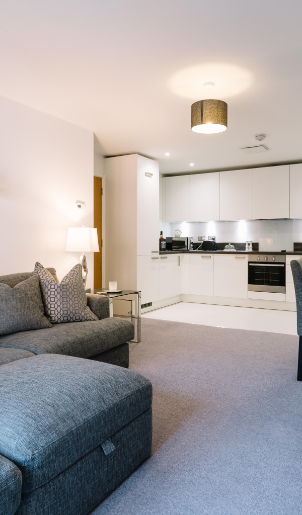 Квартира студия с большой кухней