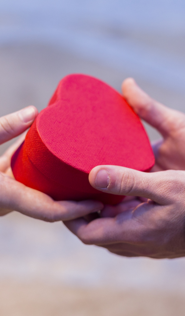 Пара держит небольшую подарочную коробку в форме сердца