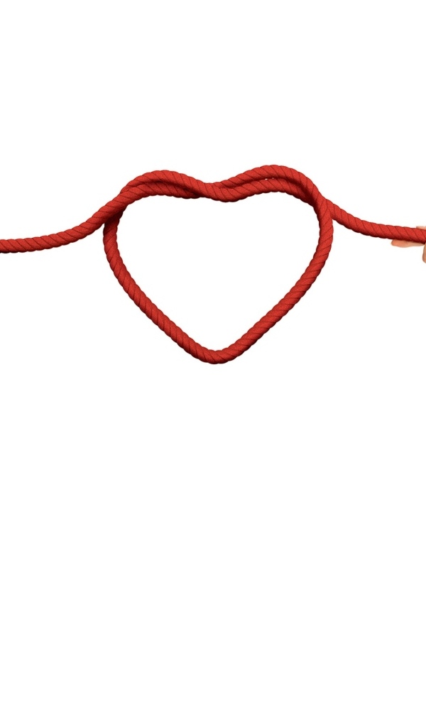 Пара тянет узел в форме сердца