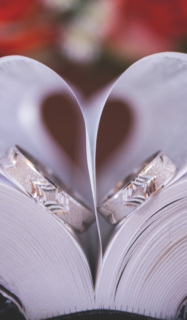 Сердце из страниц книги с кольцами