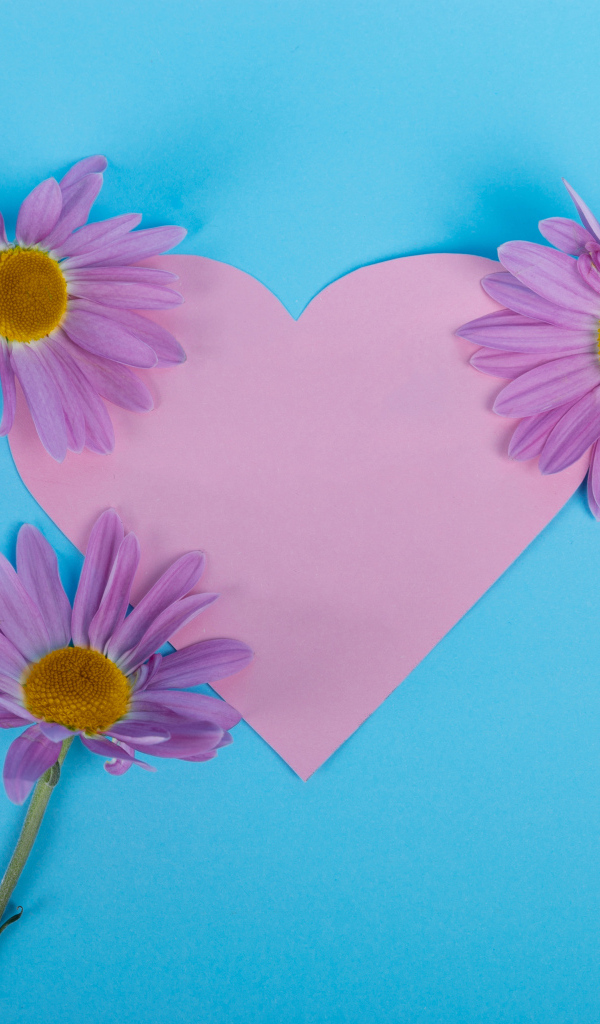 Розовое сердце с цветами на голубом фоне