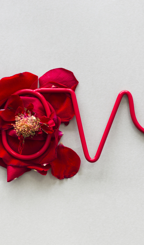 Надпись любовь на сером фоне с цветком 