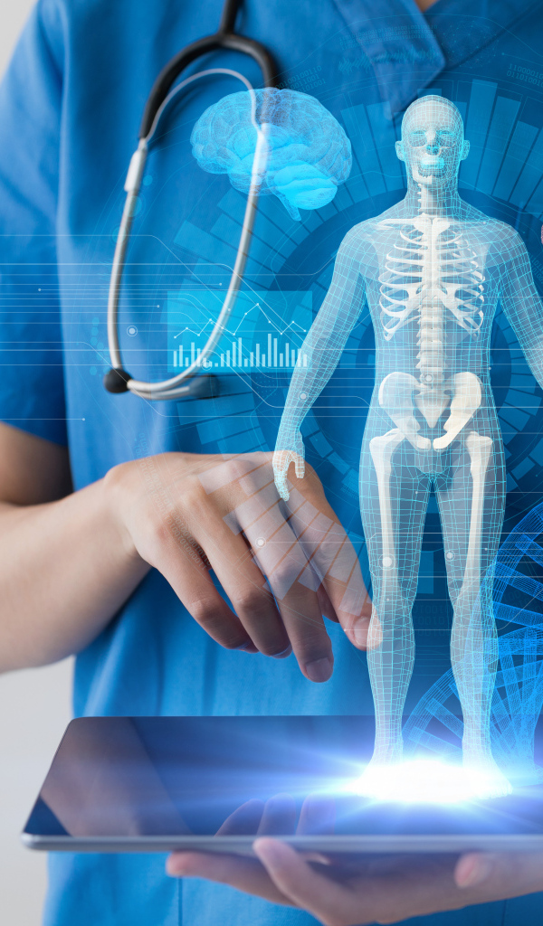 Доктор с макетом человека на планшете