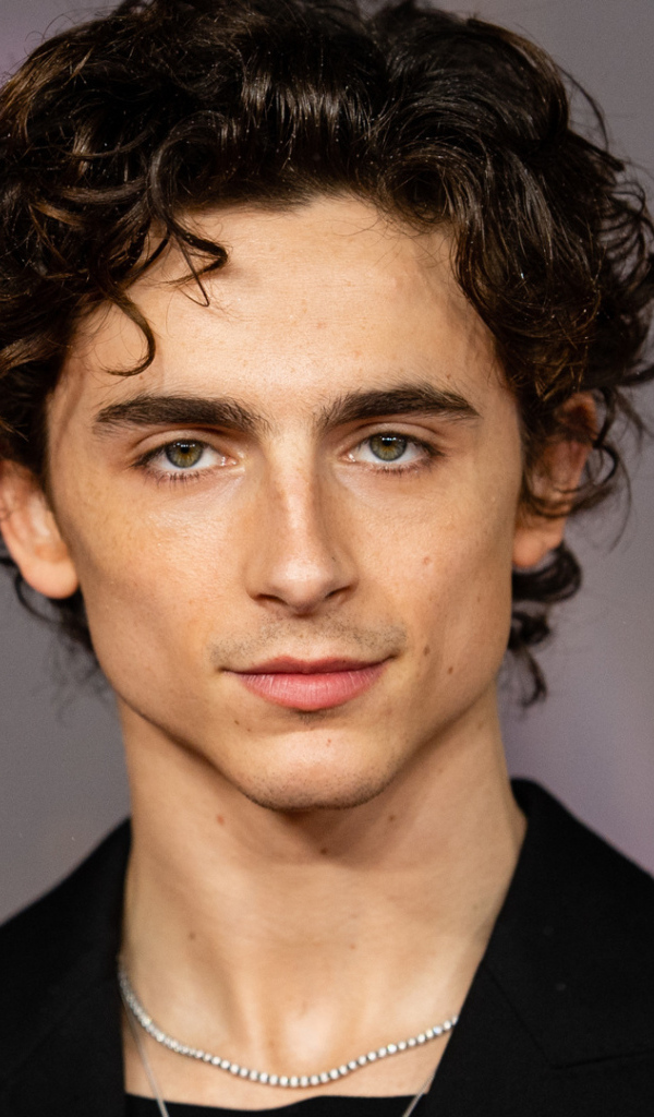 Молодой актер Тимоти Шаламе