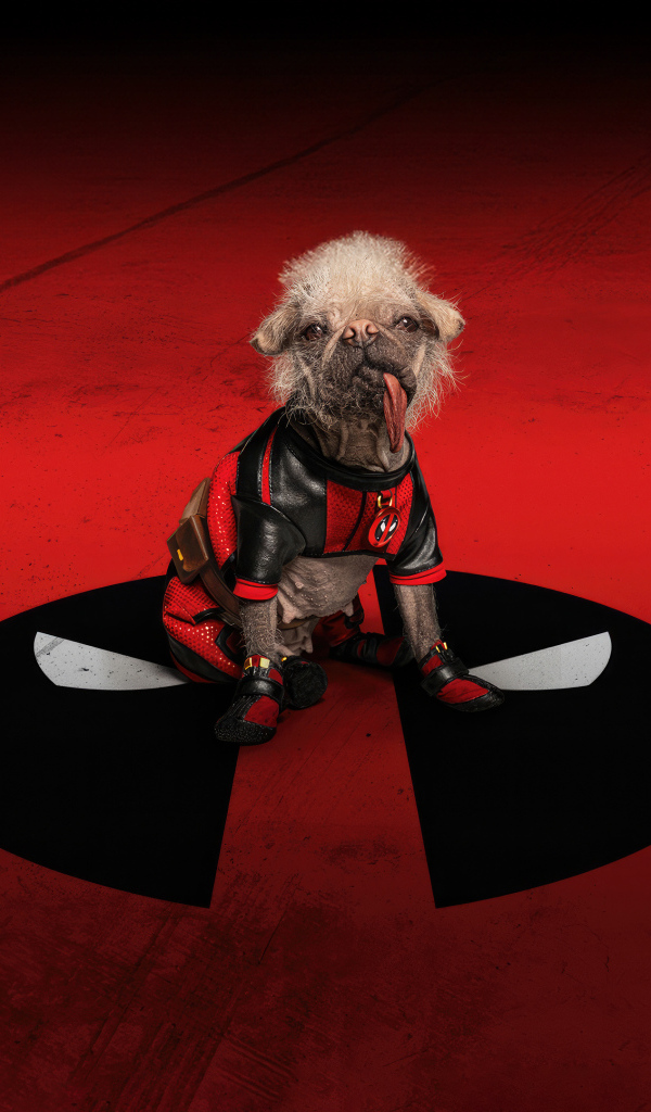 Собака на красном фоне фильм Дэдпул и Росомаха 2024