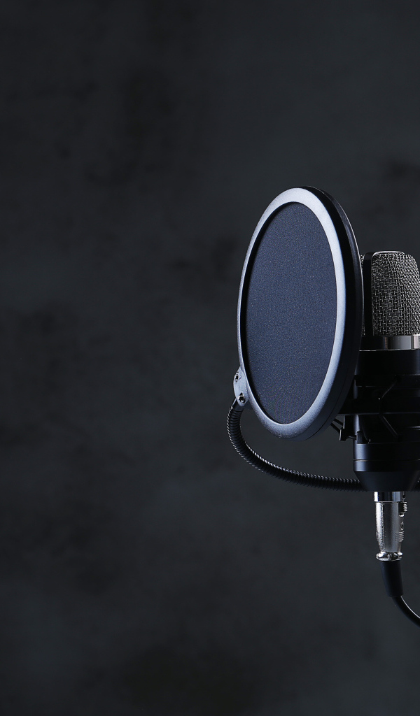 Черный микрофон с фильтром в студии