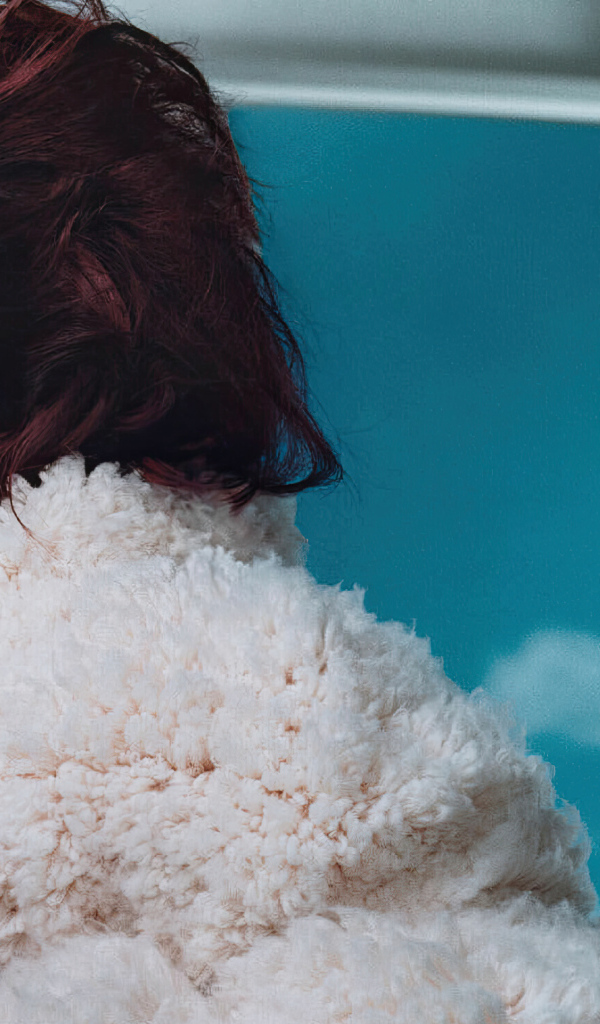 Прическа на голове певицы Дуа Липа