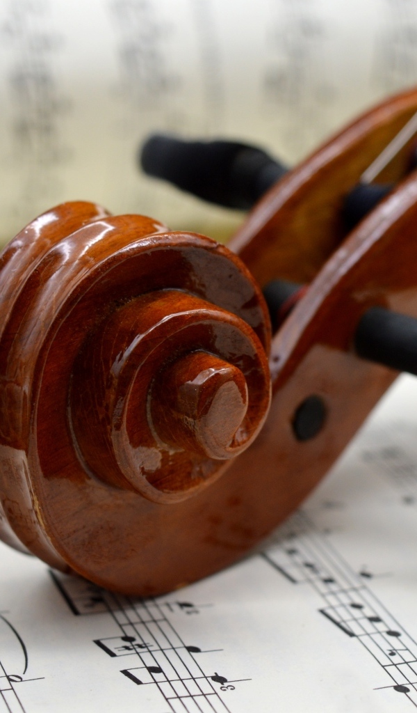 Скрипка с нотами крупным планом