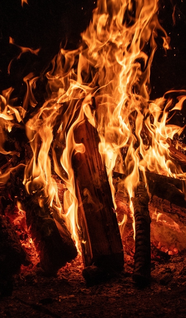Яркое пламя костра ночью