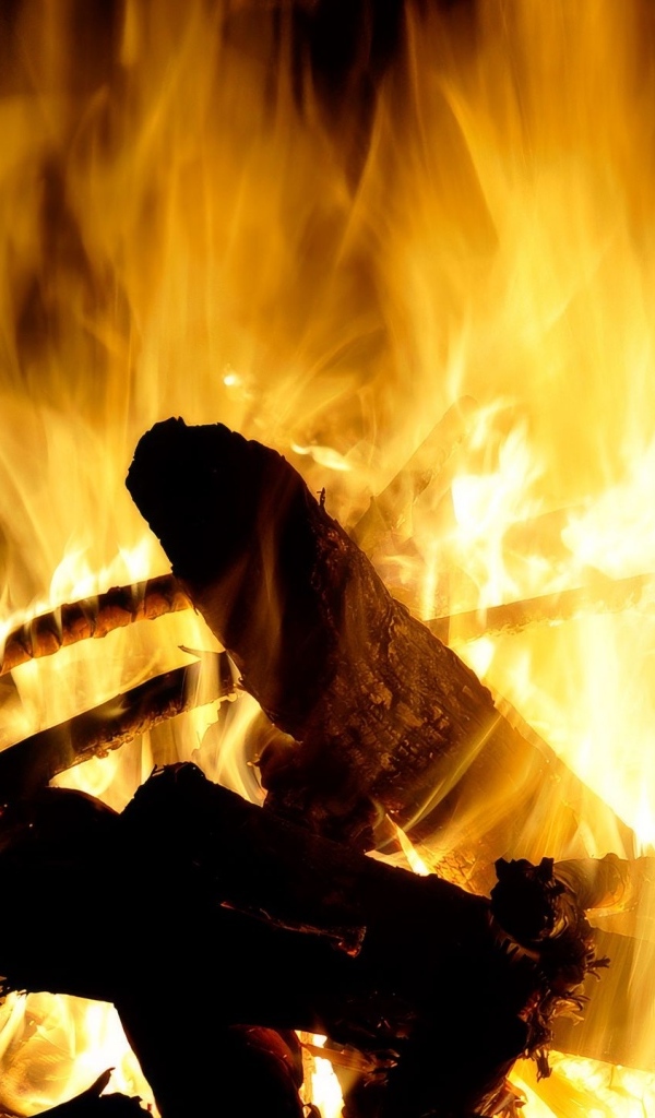 Яркое горячее пламя костра крупным планом