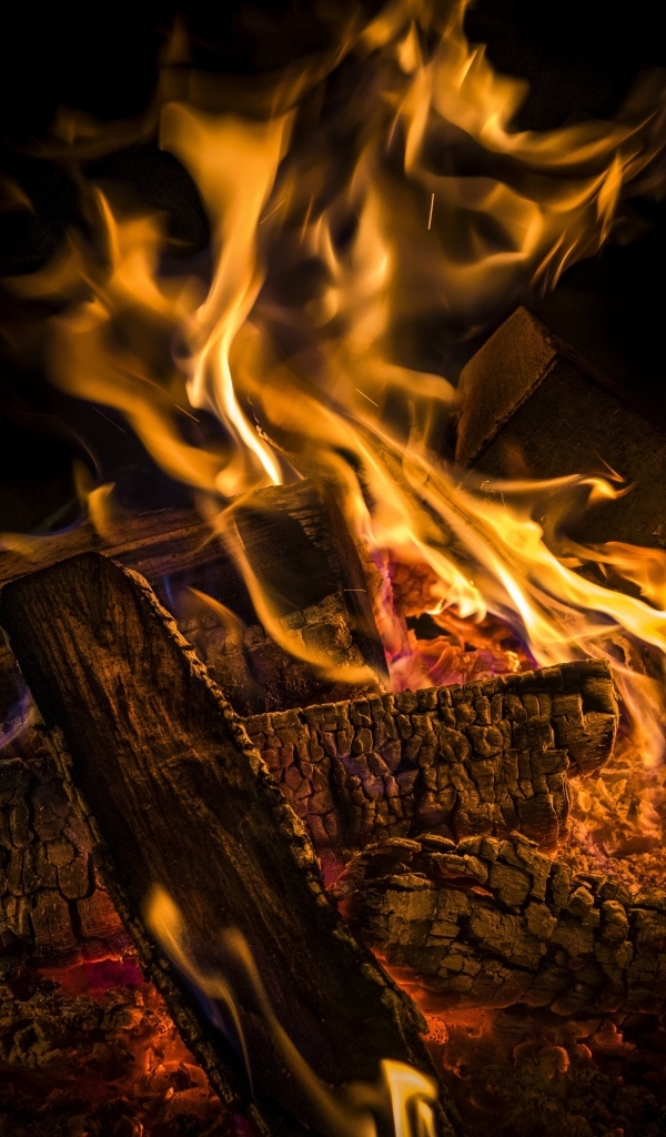 Дрова с огнем к костре ночью