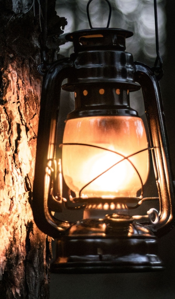 Светящийся фонарь висит на дереве