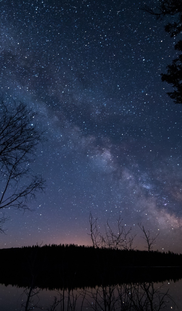 Млечный путь в бескрайнем звездном небе ночью