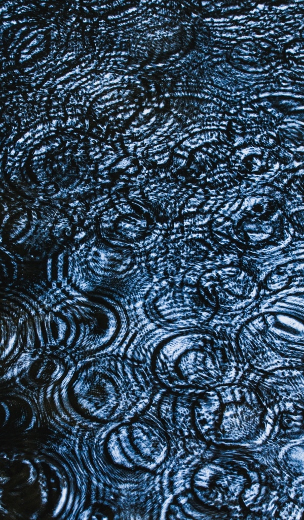 Круги от дождя на воде