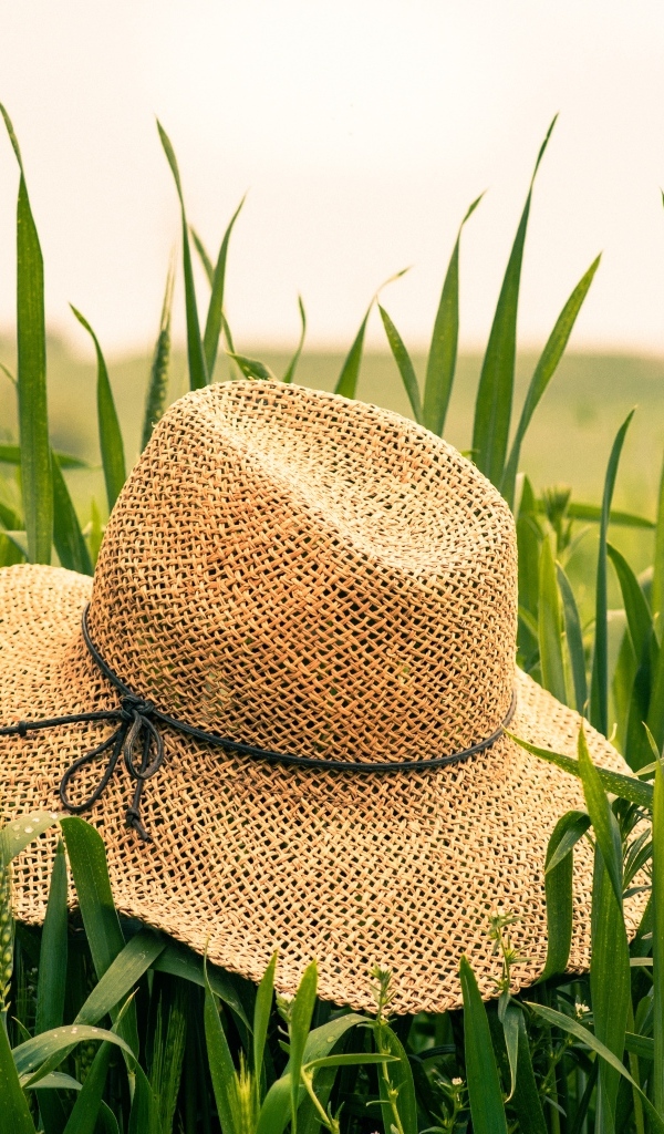 Соломенная шляпа на поле с зелеными колосьями пшеницы