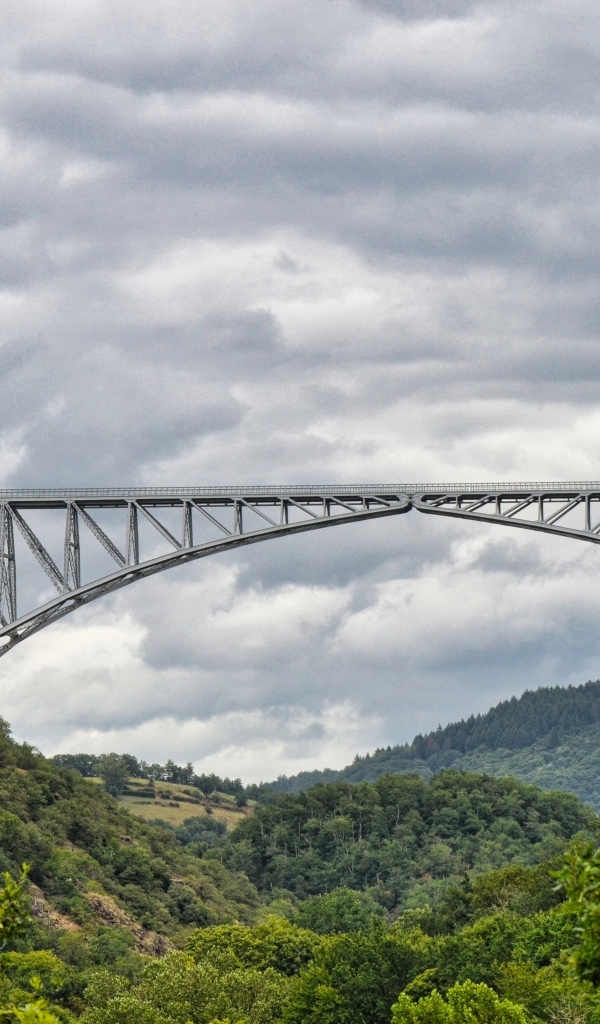 Вид на стальной виадук над покрытыми зеленью горами