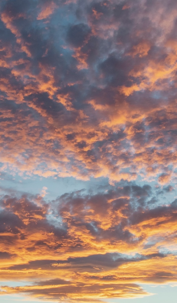 Густые темные облака в небе