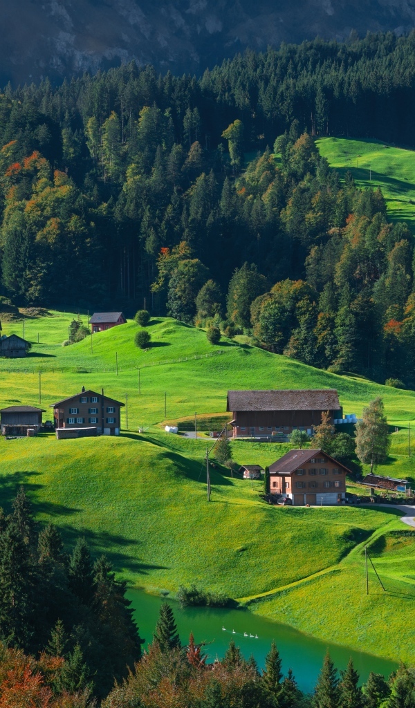 Зеленые холмы с домами в горах