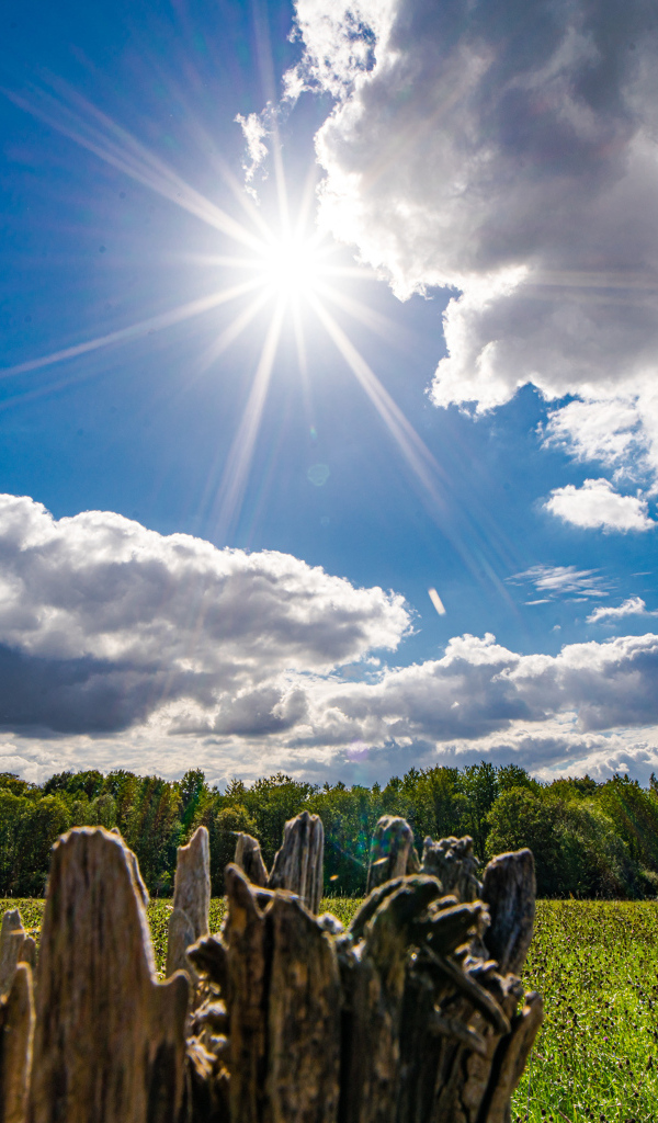 Солнце в голубом небе с белыми облаками над полем