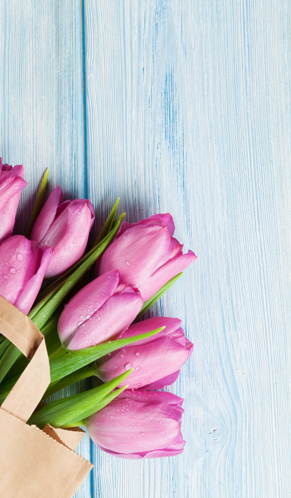 Пакет розовых тюльпанов на голубом столе