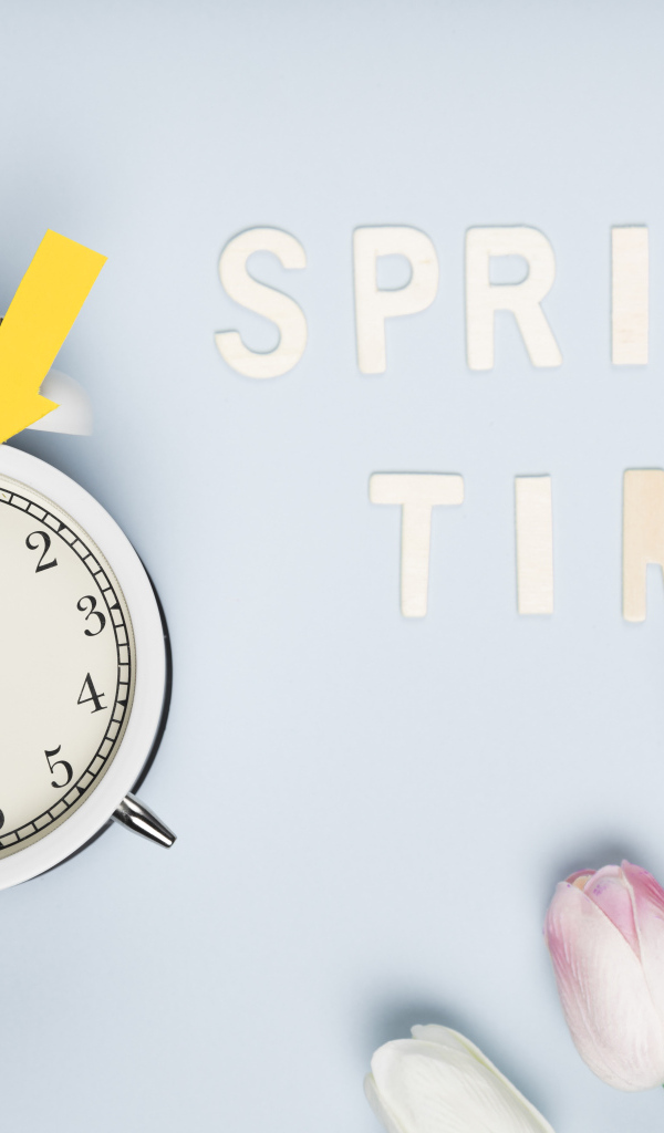 Будильник на голубом фоне с тюльпанами и надписью