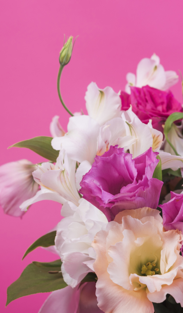 Красивый букет разноцветных цветов эустомы на розовом фоне