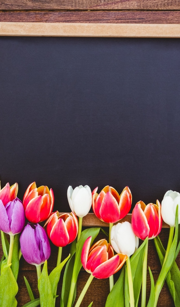 Красивые разноцветные тюльпаны с рамкой на деревянном столе