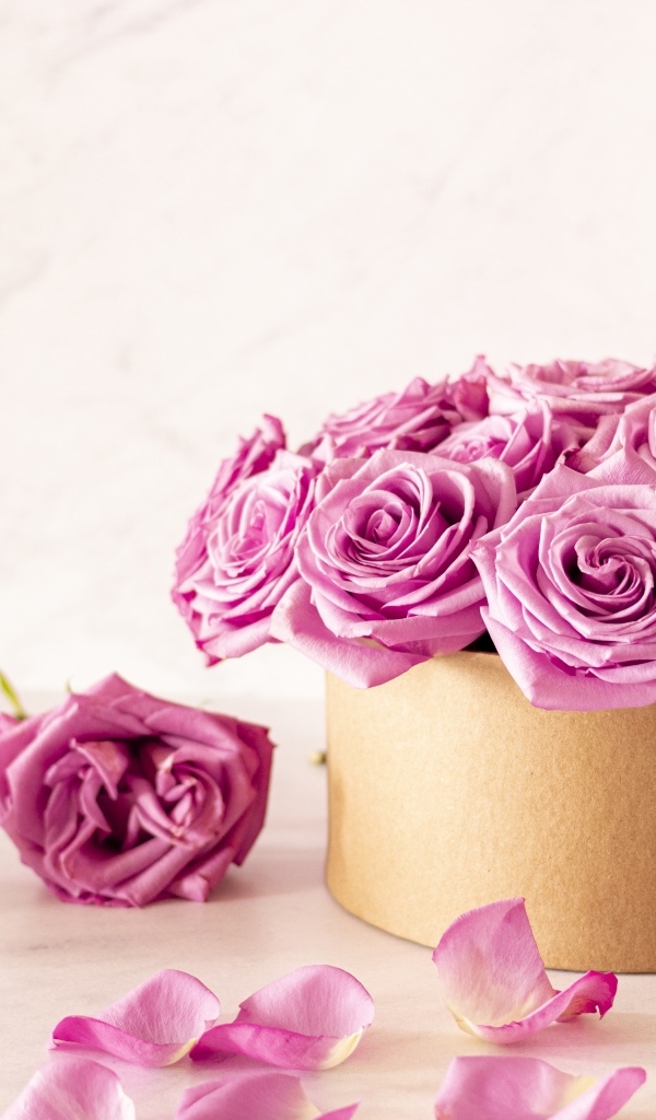 Красивые розовые розы в картонной коробке на белом фоне