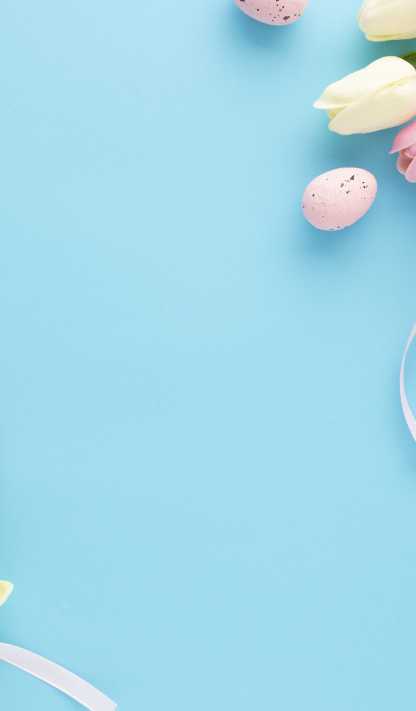 Красивые тюльпаны с яйцами на голубом фоне