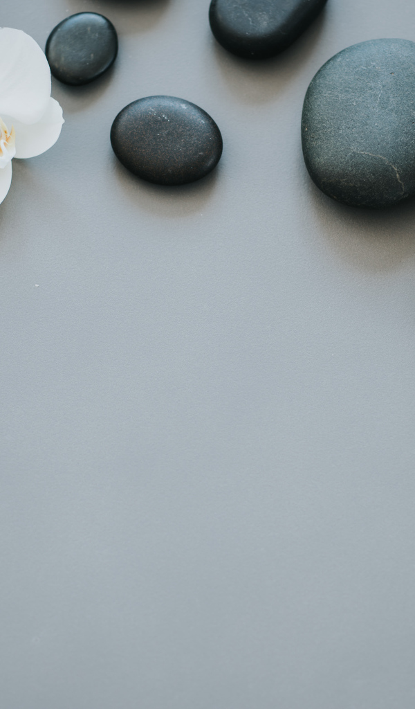 Черные камни с цветами орхидеи и полотенцем на сером фоне