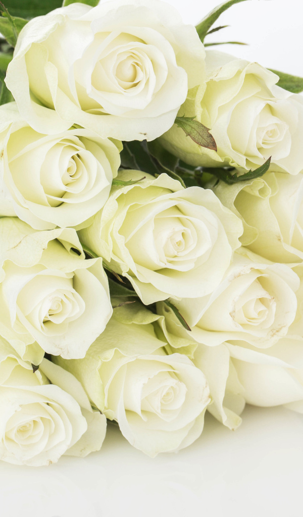 Букет шикарных белых  роз 