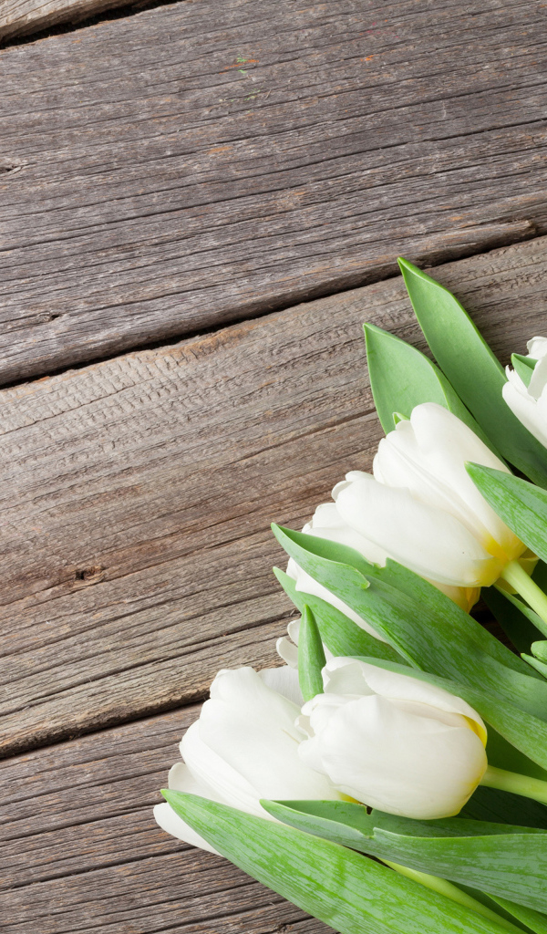Букет нежных белых тюльпанов с зелеными листьями на деревянном столе