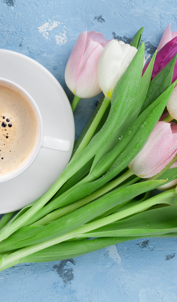 Букет разноцветных тюльпанов с чашкой кофе на голубом столе