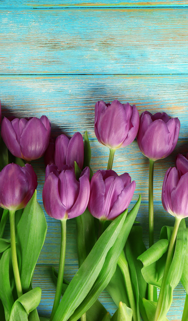 Букет фиолетовых тюльпанов на голубом столе