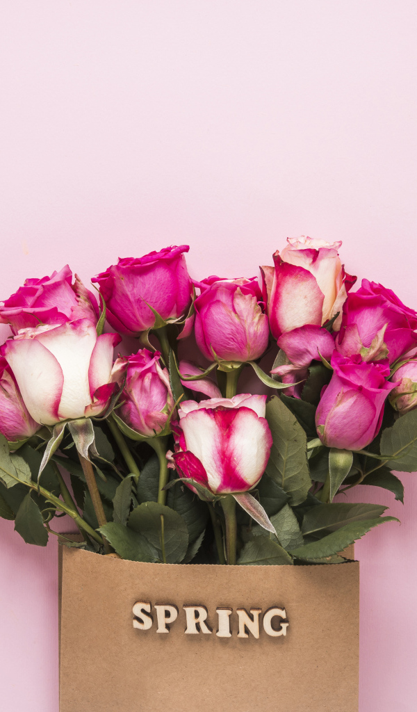 Букет роз в бумажном пакете на розовом фоне весной