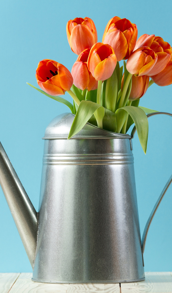 Букет тюльпанов в металлической лейке на голубом фоне