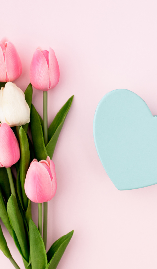 Букет тюльпанов с голубым сердцем на розовом фоне 
