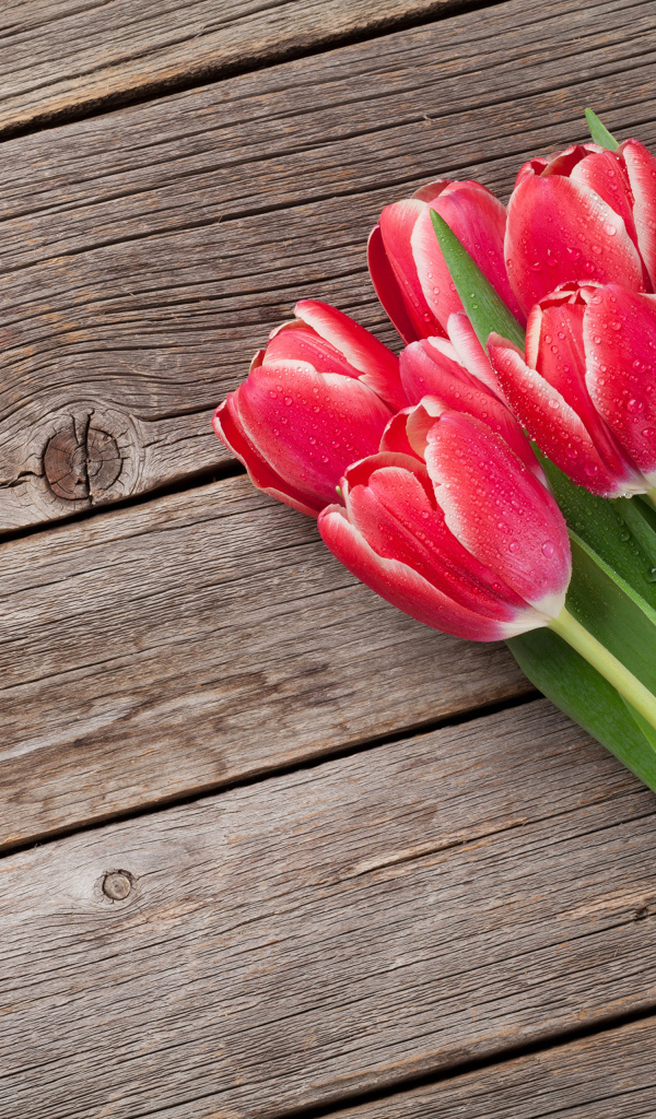 Букет мокрых красных тюльпанов на деревянном столе