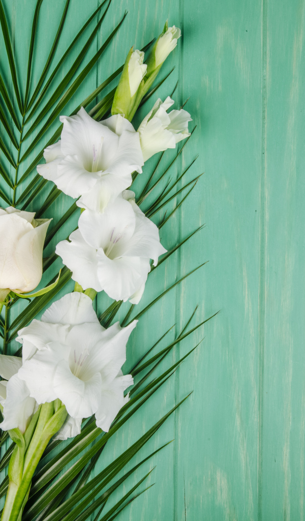 Нежные белые гладиолусы с розой на зеленом фоне