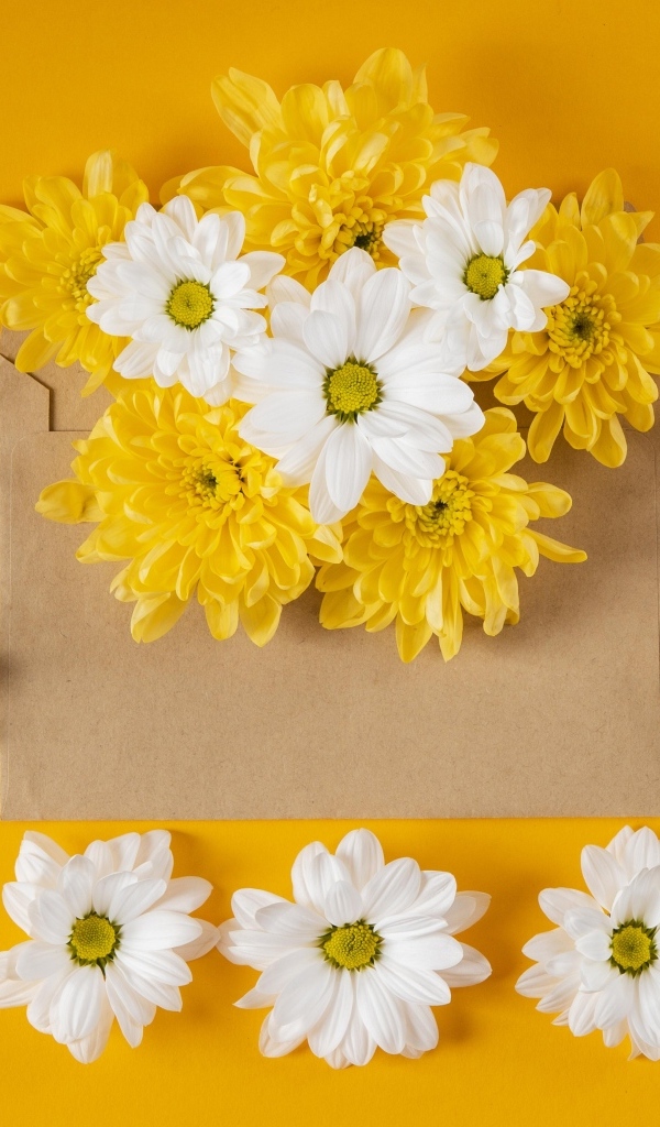 Конверт с желтыми и белыми хризантемами на желтом фоне