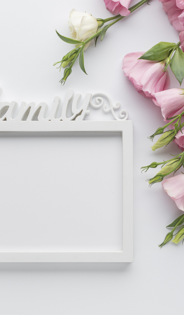 Эустома  с рамкой на белом фоне, шаблон для открытки