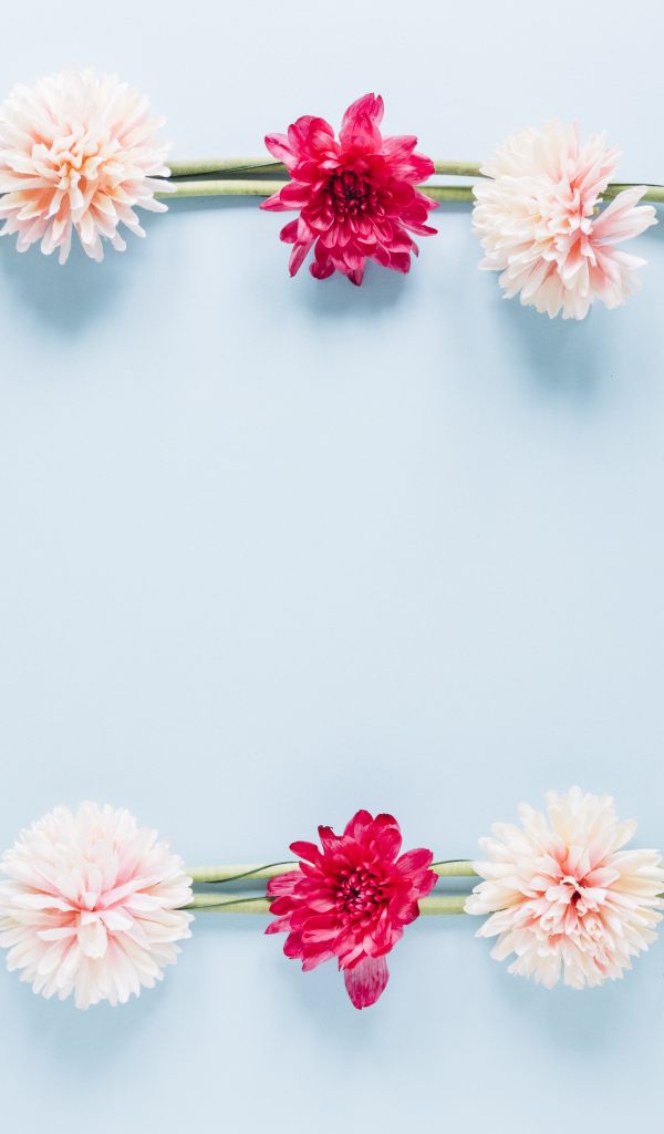 Рамка из разноцветных цветов на голубом фоне