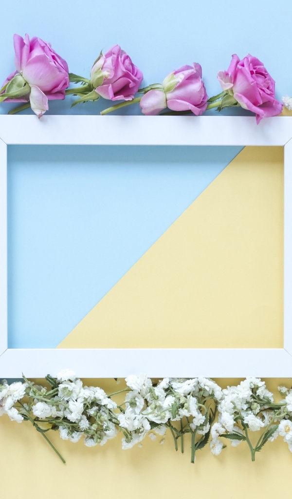 Рамка с цветами розы и гипсофилы 