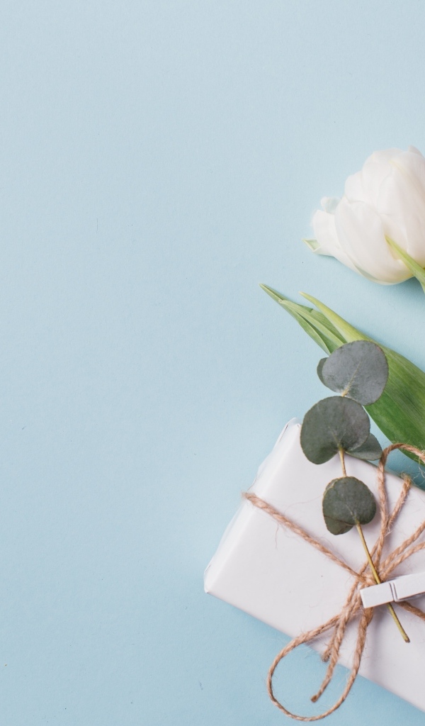 Подарок с тюльпанами на голубом фоне